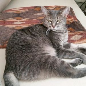 Meet your Posher, Judith